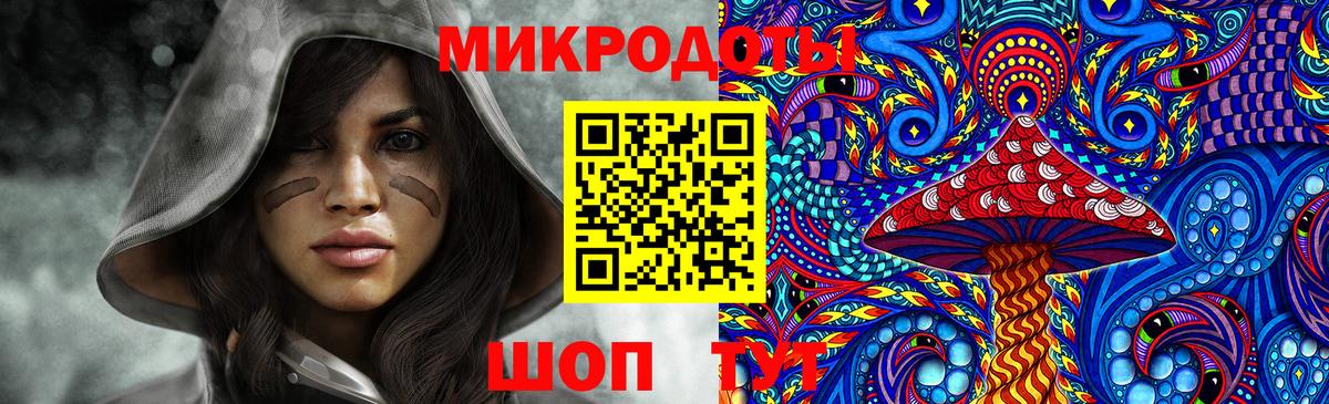Галлюциногенные грибы Psilocybine cubensis Тара